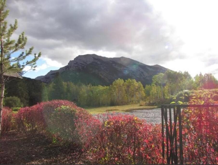 Apartment G222 Family Fun- Mtn View Stay, Water Slide, Pool, Hot Tub, Free Parking